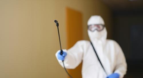 contre rongeurs contre rongeurs