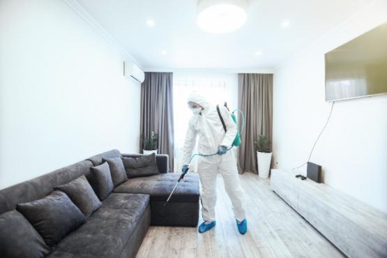 Désinfecter appartement 