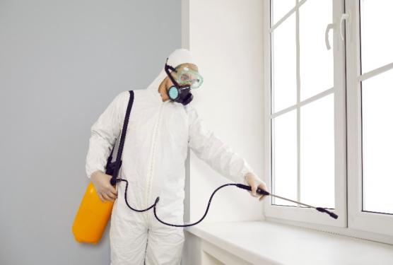 Désinfectez votre espace