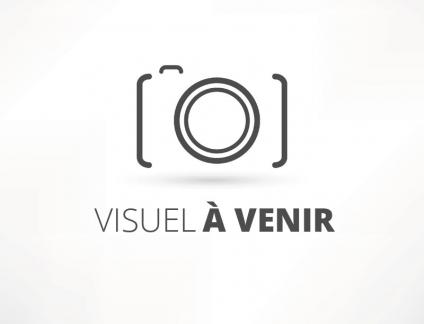 Problème de pigeons dans vos bâtiments ? Nous avons la solution !